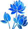 lotus_tiny_blue.gif
